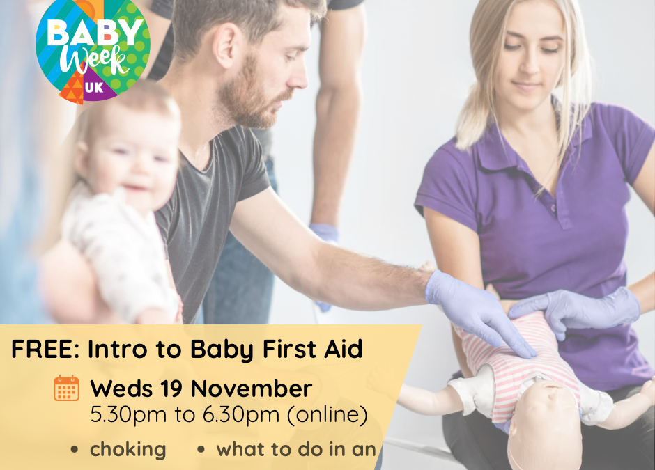 Free Intro to Baby First Aid – National Online Session