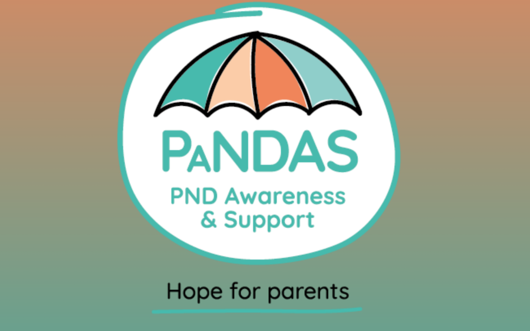 Seen, Heard, Supported: The Power of Peer Support Through PANDAS Foundation